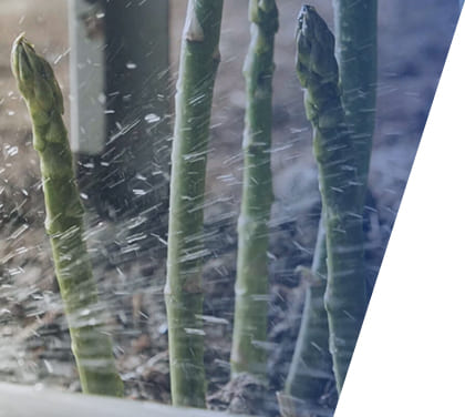 自動灌水システム